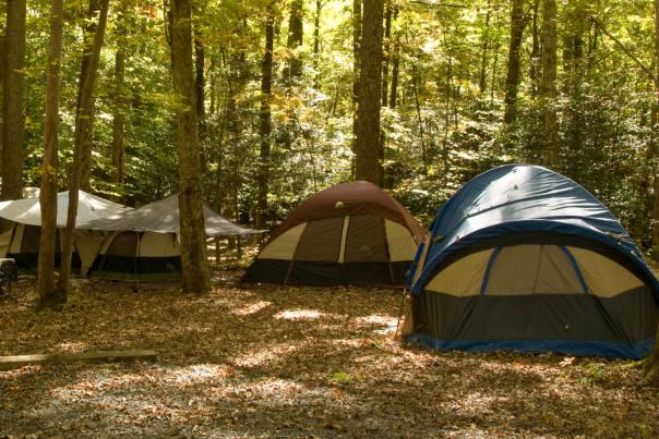 Camping at Burke Lake Park