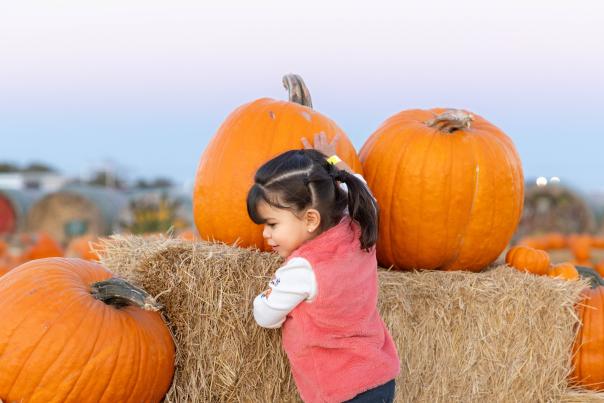 Toddler climbing on haystacks with pumpkins at maxwell's pumpkin farm in amarillo texas
