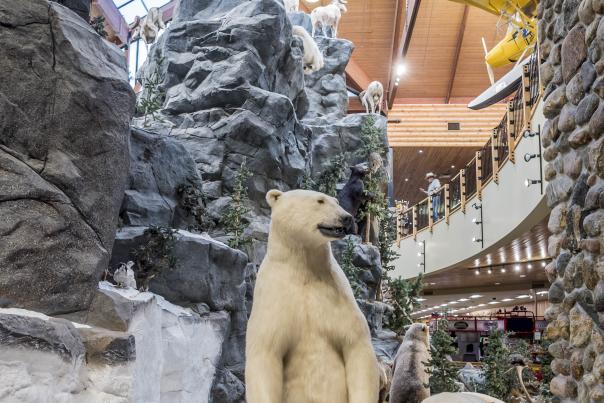 Cabela's Polar Bear