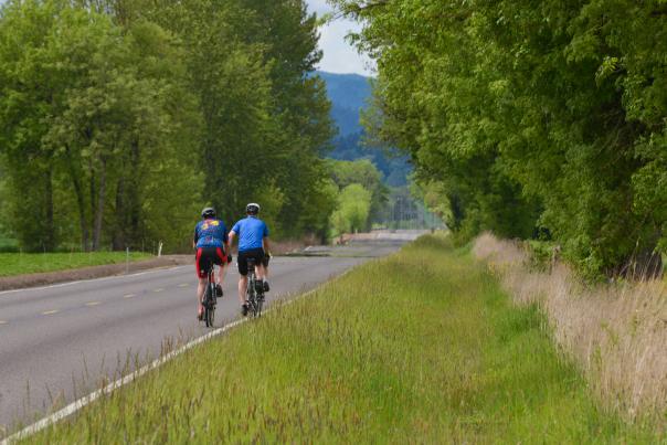 Two cyclists roll along a back country roll past green grass and green trees.