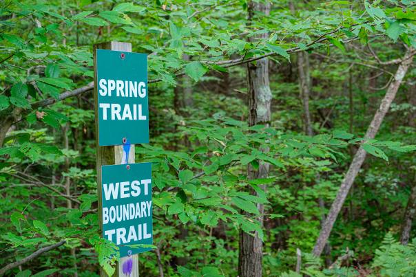 Two trail signs attached to a wooden post among green foliage, labeled "Spring Trail" and "West Boundary Trail.