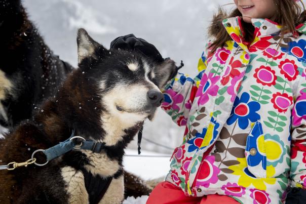 young girl petting a dog