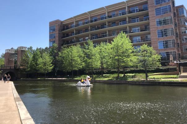 Swan Boat on The Woodlands Waterway