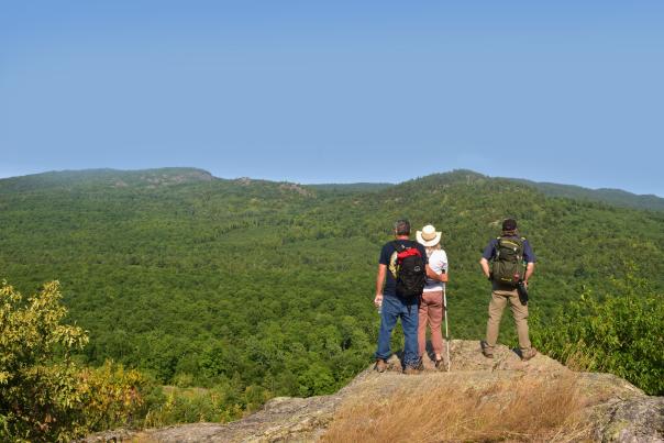 Three people stand on a bare bluff and take in views of vast forest