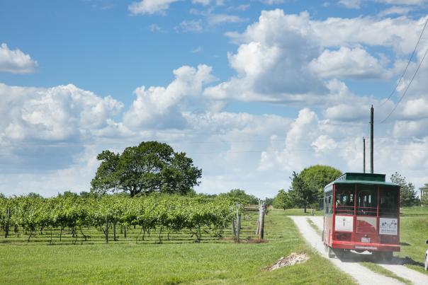 Miami County Trolley Paola