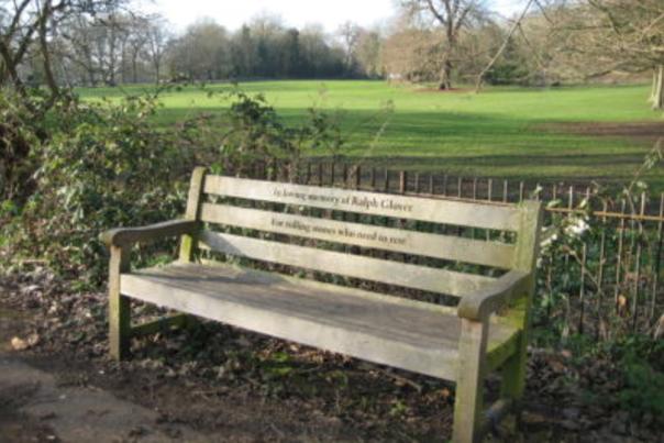 The image shows a bench on Marble Hill, with parkland behind it.