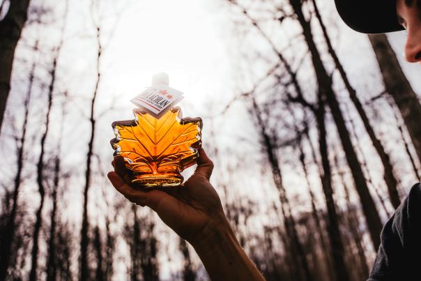 Canadian maple syrup bottle being held in the forest.