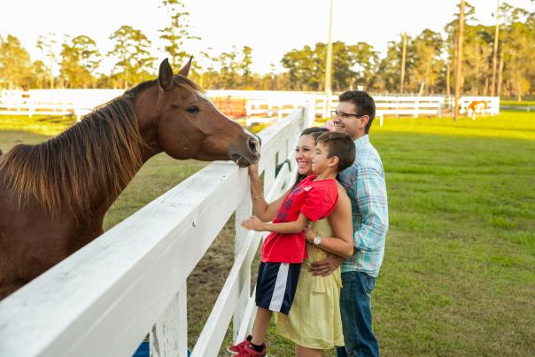 Kids with their dad feeding a horse at Tyrrell Park in Beaumont, TX