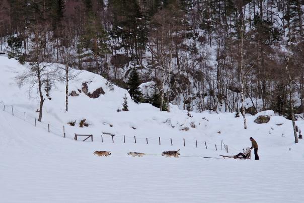Sirdal husky farm