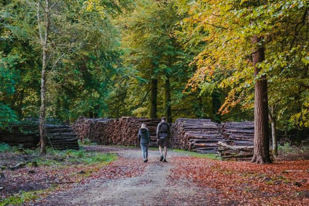Colourful Autumn Walks Blog