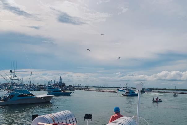 Large fishing boats leaving from a marina.