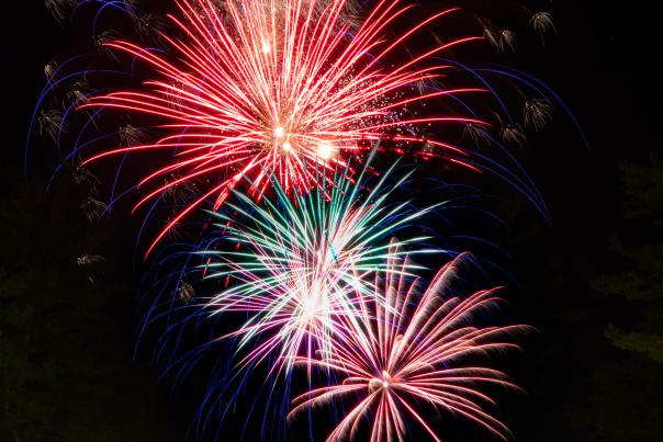 fireworks in the sky