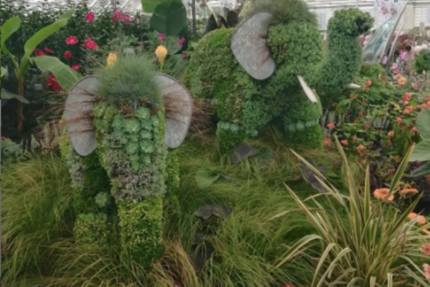 floral elephants