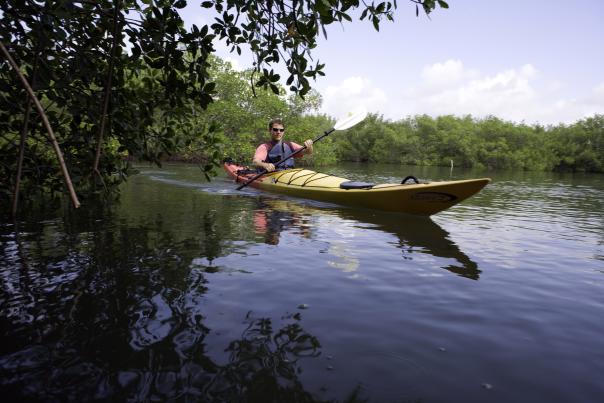 Man kayaking in Placida, Florida