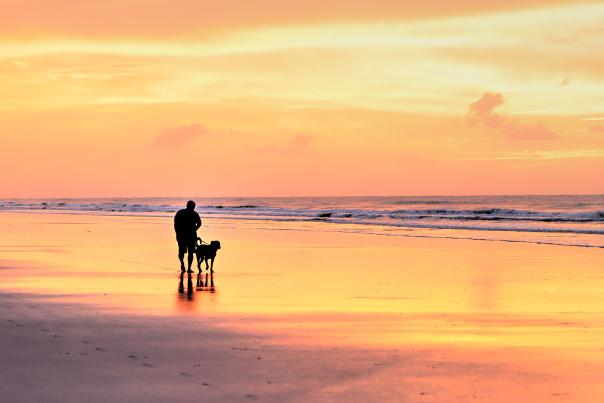Man Walking Dog at Sunrise at Sunset Beach