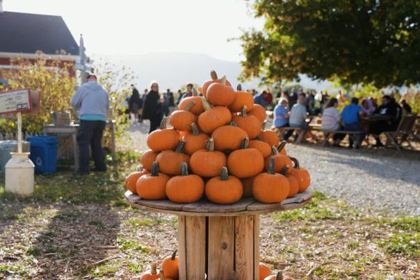 Red Acre Farm Pumpkins
