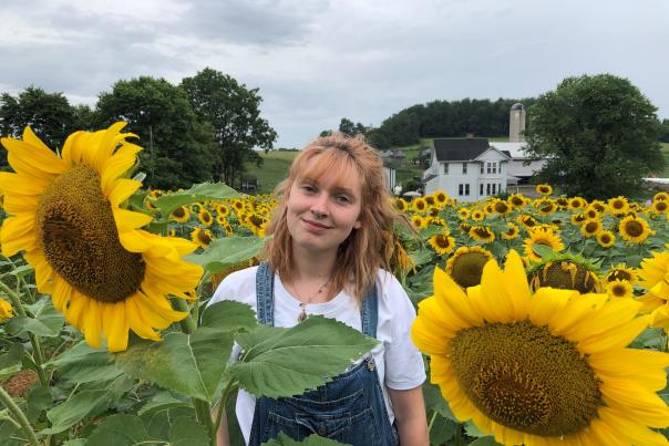 Maple Bottom Farm Sunflowers