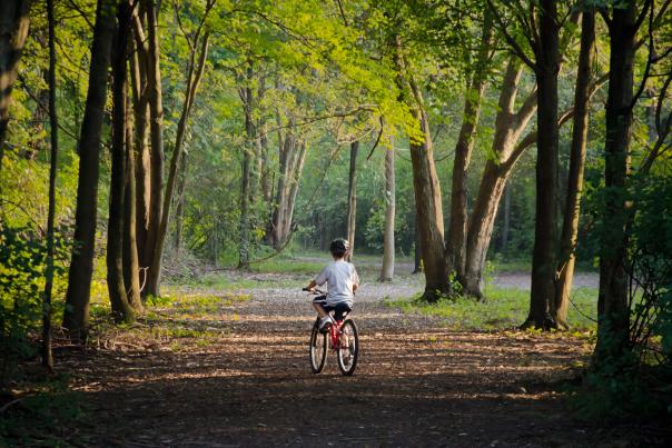 child riding his bike on a Cincinnati bike path through the woods
