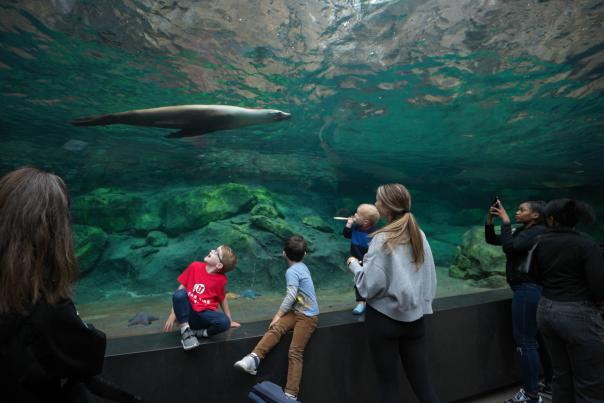 Galapagos Islands Exhibit Houston Zoo