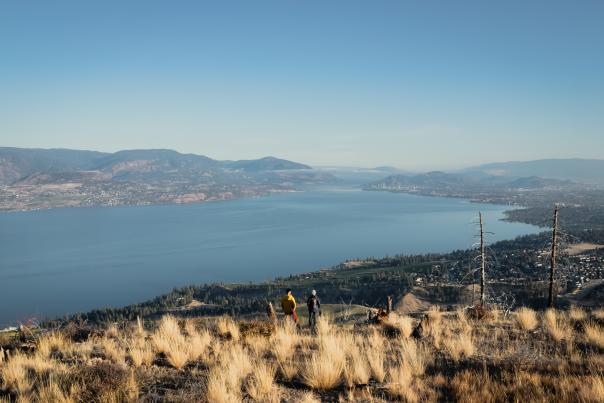 Couple_Hiking_at_Johns_Family_Nature_Conservancy_Regional_Park_Aerial_9_