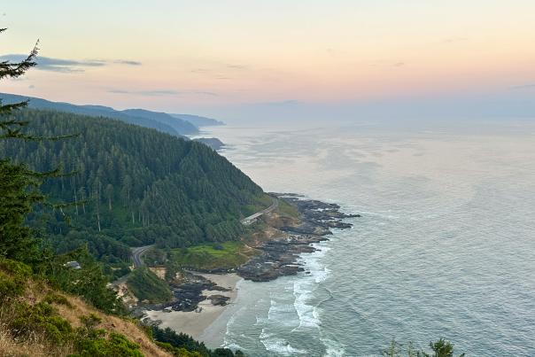 A view of the rocky Oregon coastline from a high point at dawn.