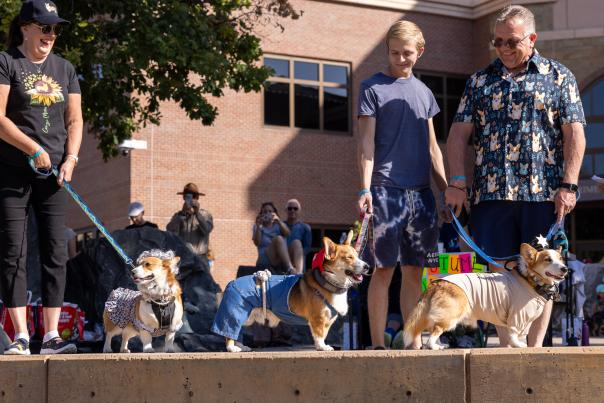 Tour De Corgi Costume Contest