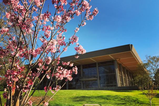 Central Park Library
