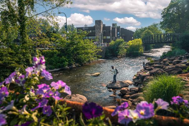 Couple over river rocks fishing