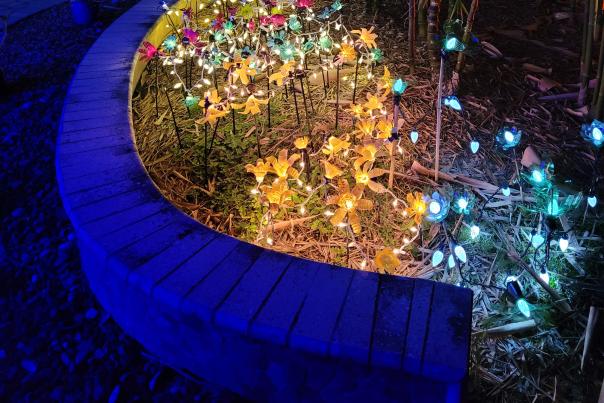 Festive lit-up flowers at Peace River Botanical & Sculpture Gardens in Punta Gorda, Florida