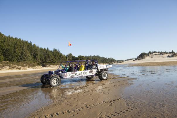 A purple and white dune buggy is parked in shallow water in the sand dunes. Sandy hills covered in trees are in the background.