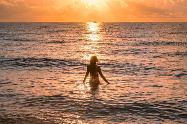 Voyage Fox X Visit Lauderdale