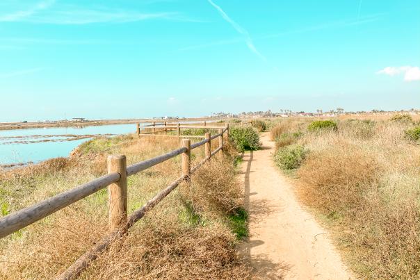Huntington Beach Bolsa Chica Ecological Reserve