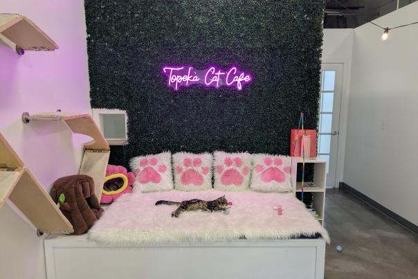 Topeka Cat Cafe