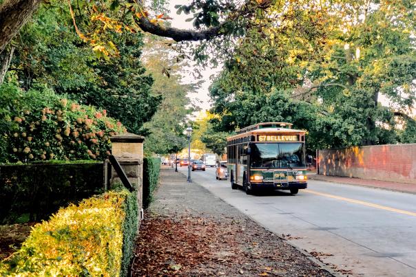 Bellevue Trolley