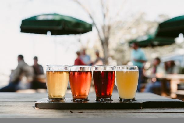 Bayou Teche Brewing Beers On Display