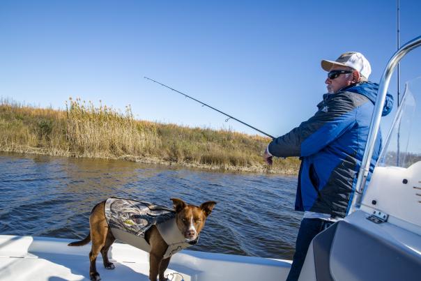 A man and his dog on a boat fishing with grassy shore behind.