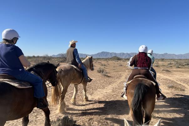 4 brown and brown/white horses with 4 adult riders riding in the desert landscape with mountains seen in the background.