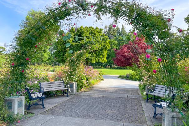 A arched bower entwined with vines and flowers arches over a flat, paved path with inset bricks. Four benches, two on each side of the patch create a sitting area. The garden is green and there are flat lawns in the background.