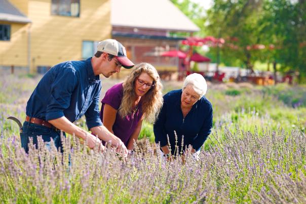 Bella Fiori Lavendar Farm