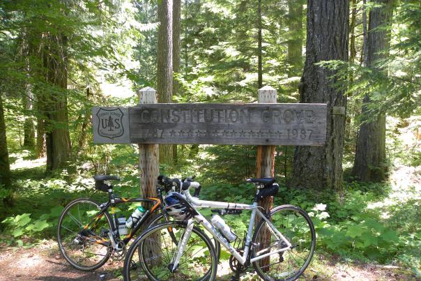 Aufderheide by Bike at Constitution Grove, Oakridge by Eugene, Cascades & Coast
