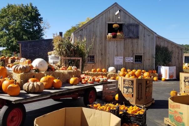 Autumn in New England Tour - Farm