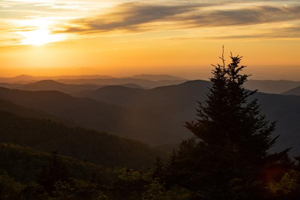 Misty mountains and a pine tree are backlit by a bright orange sky.