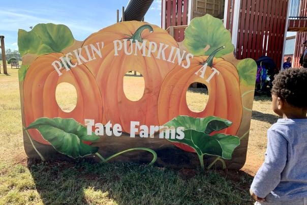 Tate Farms Zenovia