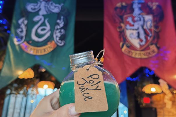 Harry Potter Cabana Club