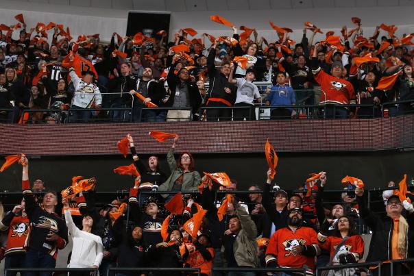 Ducks Fans