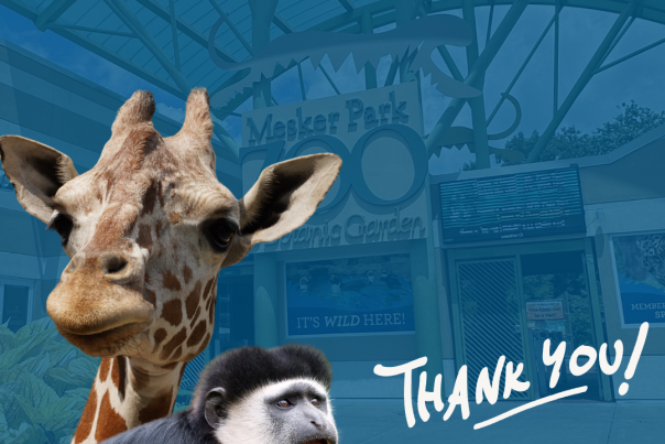 Mesker Park Zoo Record Year