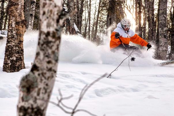 Downhill skier flying between trees at Mount Bohemia, in the Upper Peninsula, Michigan USA