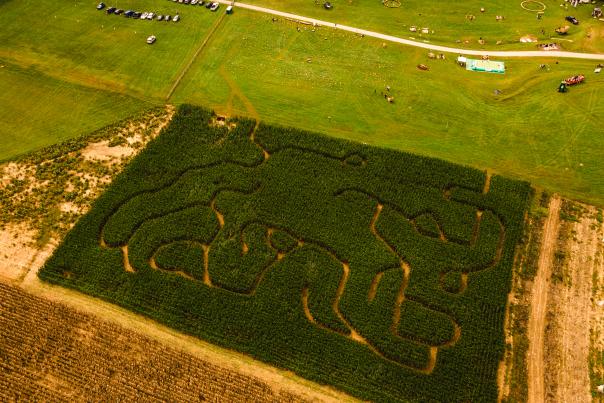 a corn maze in a field