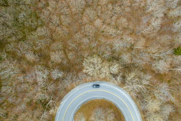 A solitary gore winds through the Appalachian Gap during stick season