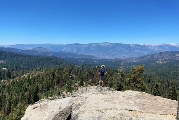 Buena Vista